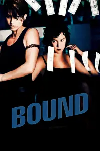 Постер до фильму"Зв