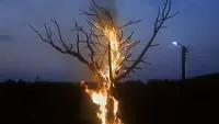 Задник до фильму"Свавілля" #849804
