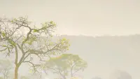 Задник до фильму"" #740259