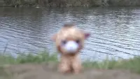 Задник до фильму"" #807561