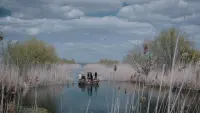 Задник до фильму"" #749017