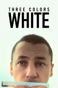 Постер до фильму"Три кольори: Білий" #955429