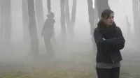 Задник до фильму"" #826630