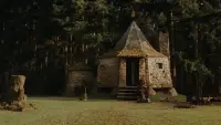 Задник до фильму"Гаррі Поттер і філософський камінь" #675033