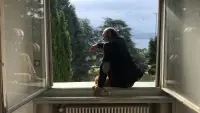 Задник до фильму"" #779170