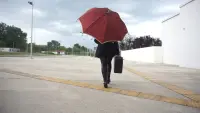 Задник до фильму"" #766340