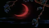 Задник до фильму"Мідорі" #808984