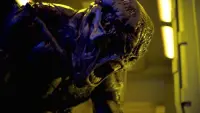 Задник до фильму"Doom: Анігіляція" #326447