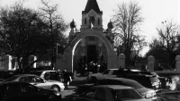 Задник до фильму"Чеховські мотиви" #838297