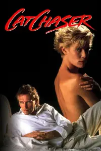 Переслідувач кішок