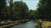 Задник до фильму"" #853090