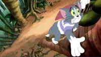 Задник до фильму"Том і Джеррі: Тремти, Вусатий!" #392571
