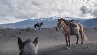 Задник до фильму"" #785199
