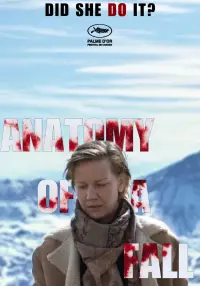 Постер до фильму"Анатомія падіння" #944663