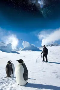 Постер до фильму"" #1191208