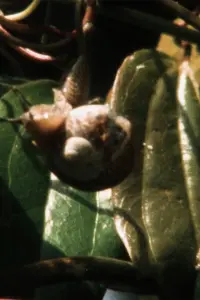 Постер до фильму"" #585456