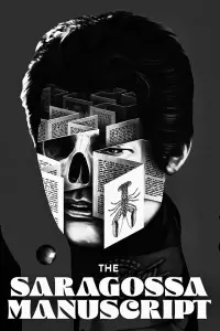 Постер до фильму"Рукопис знайдений у Сарагосі" #1005731