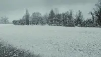 Задник до фильму"Назви мене своїм ім