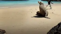 Задник до фильму"" #747574