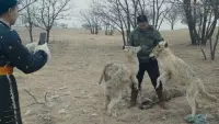 Задник до фильму"" #709614