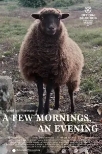 a Few Mornings, an Evening