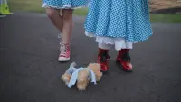 Задник до фильму"" #764860