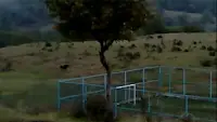 Задник до фильму"" #870970