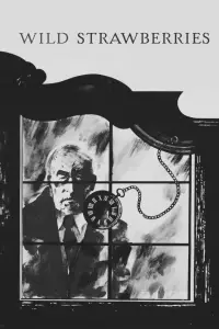 Постер до фильму"Сунична галявина" #693418