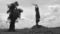 Задник до фильму"Туринський кінь" #201325