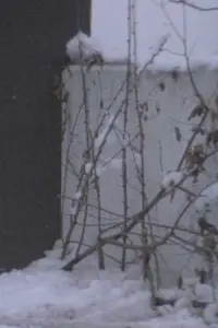 Постер до фильму"" #662943