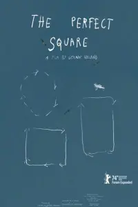The Perfect Square