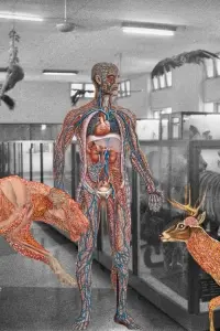 Постер до фильму"" #366661