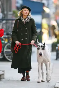 Постер до фильму"Друг" #589132