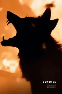 Постер до фильму"День койота" #550076