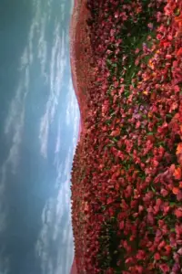 Постер до фильму"" #1071285