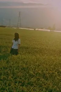 Постер до фильму"" #508759