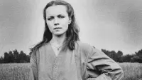 Задник до фильму"Портрет жены художника" #849293