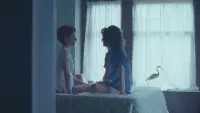 Задник до фильму"" #679408