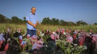 Задник до фильму"" #858992