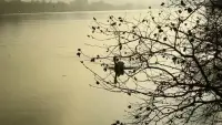 Задник до фильму"" #691752