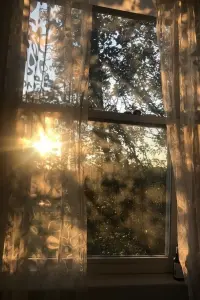 Постер до фильму"Сімпсони: О, всі вірні, прийдіть" #861171