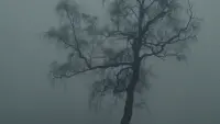 Задник до фильму"" #770482