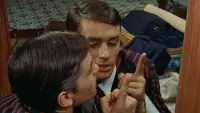 Задник до фильму"На яскравому сонці" #783415
