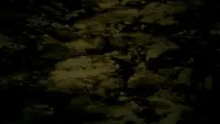 Задник до фильму"Ашюра" #396987