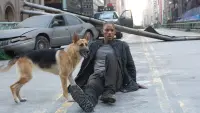Задник до фильму"Я — легенда" #232897