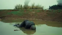 Задник до фильму"" #748368
