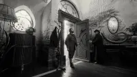 Задник до фильму"Бідолашні створіння" #160961