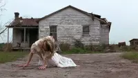 Задник до фильму"Форрест Ґамп" #764405
