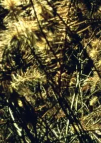 Постер до фильму"" #1097117