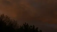 Задник до фильму"" #806955